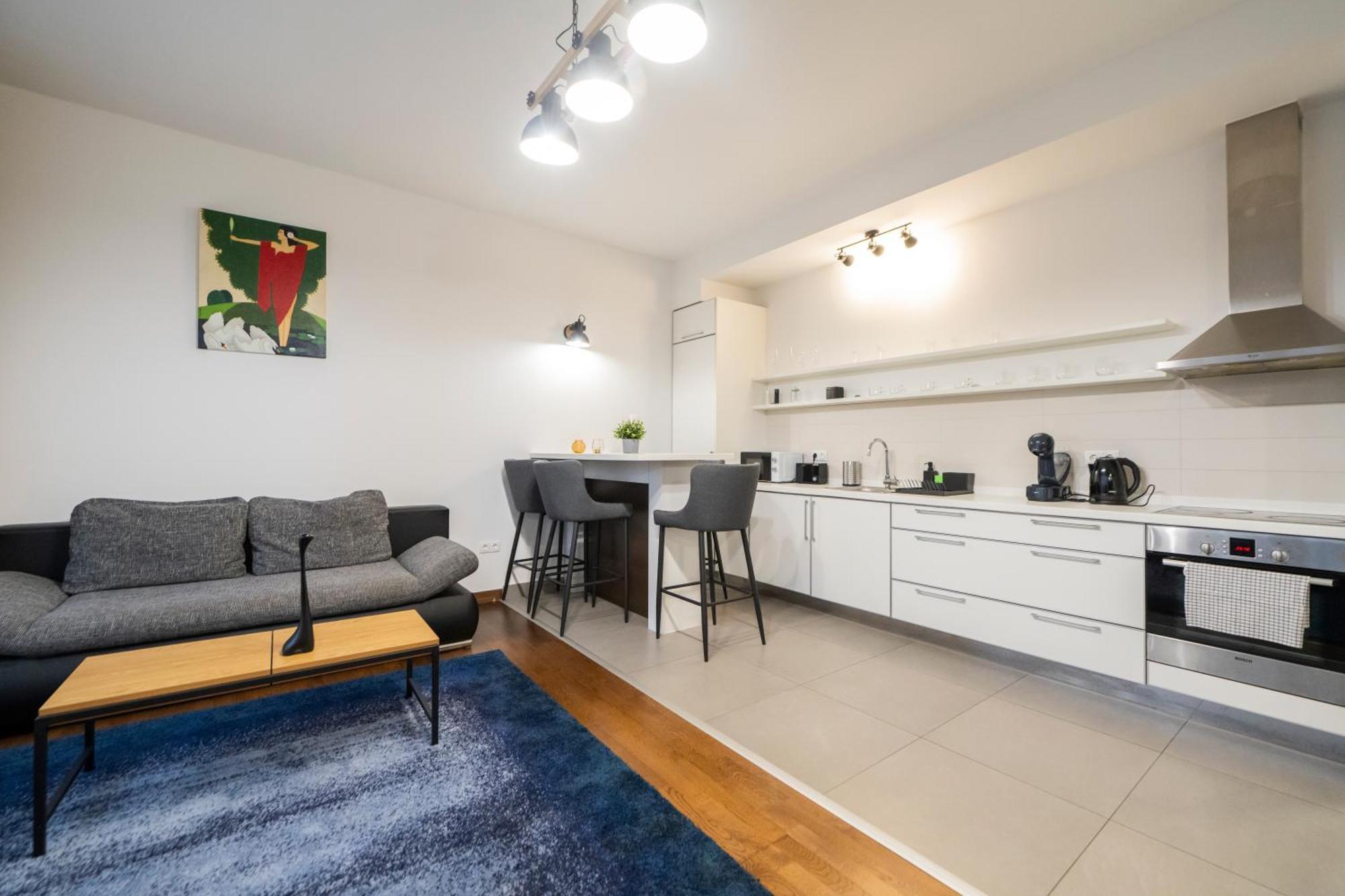 Swu Opera Apartment Budapesta Cameră foto